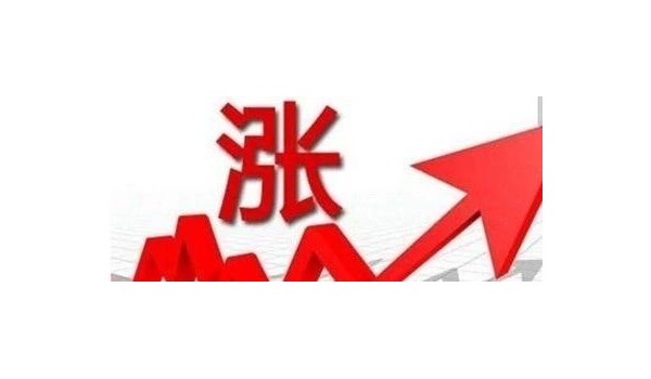 玖龙纸业股价大涨近20% 年后纸价两边涨